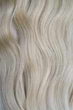Blonde Collection