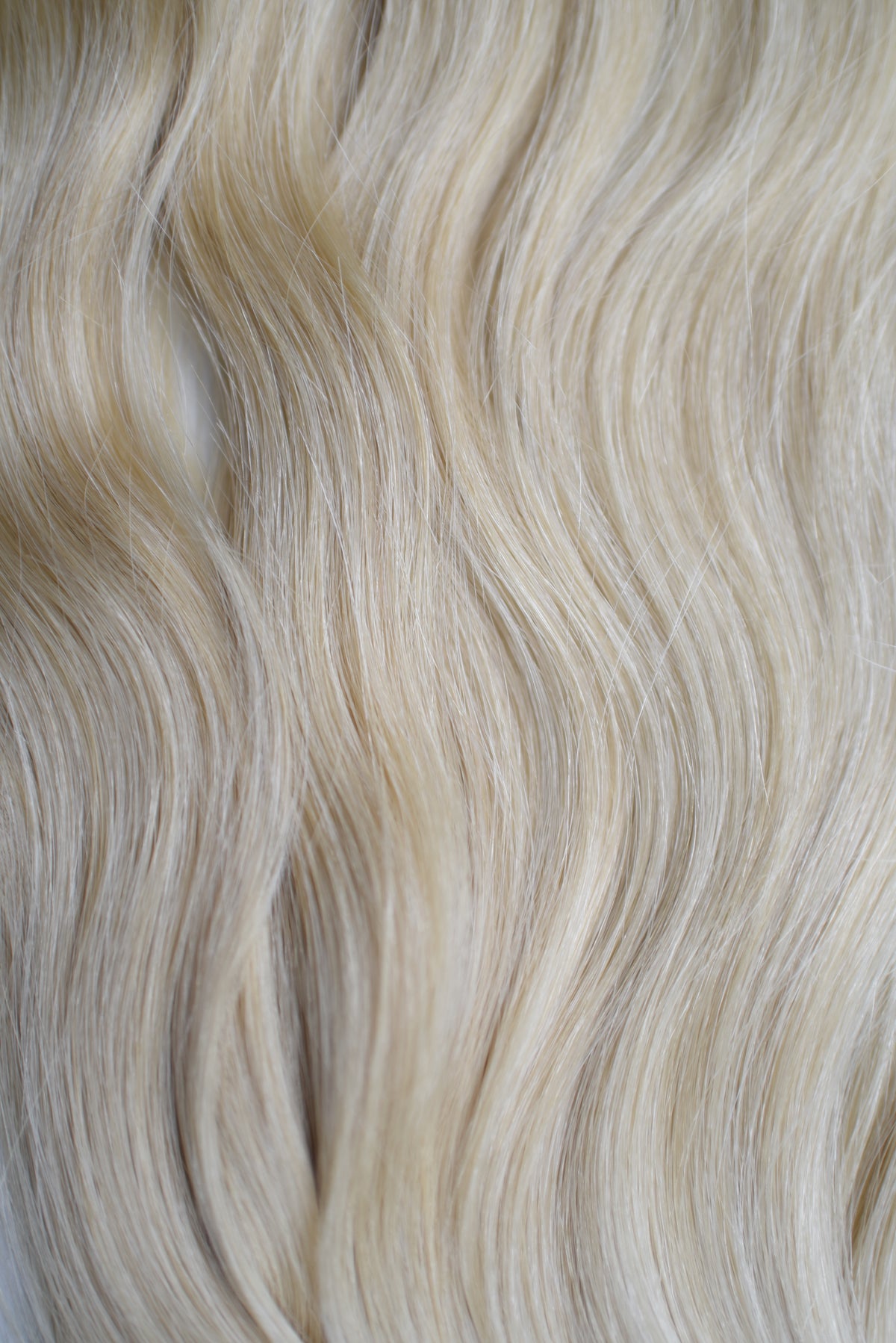 Blonde Collection