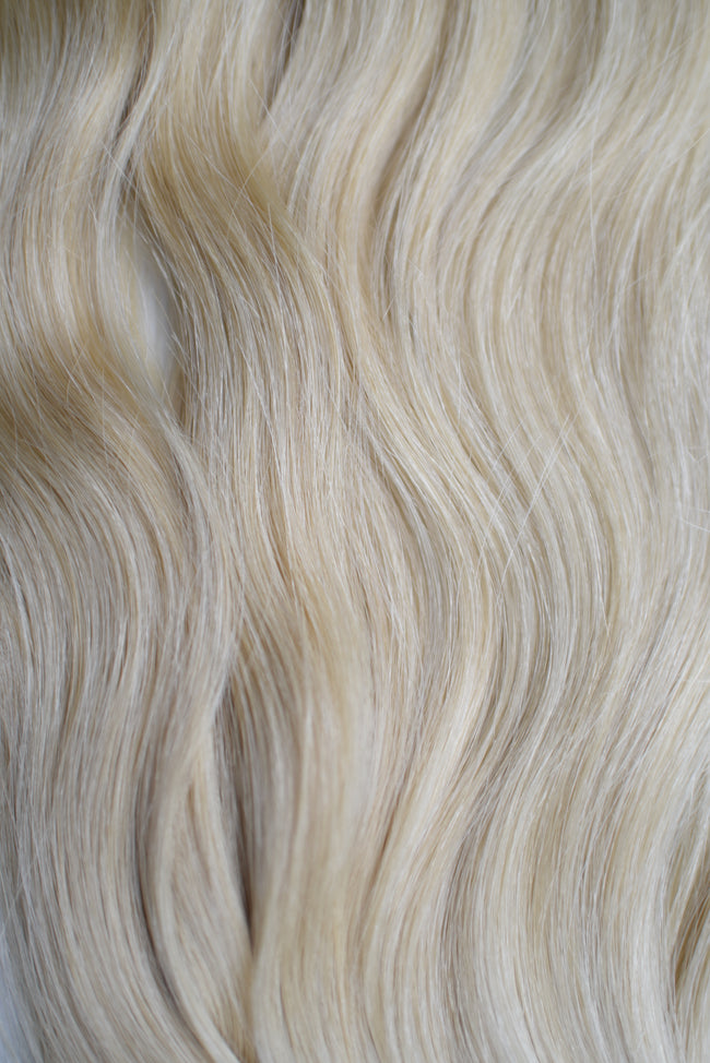 Blonde Collection Main Image
