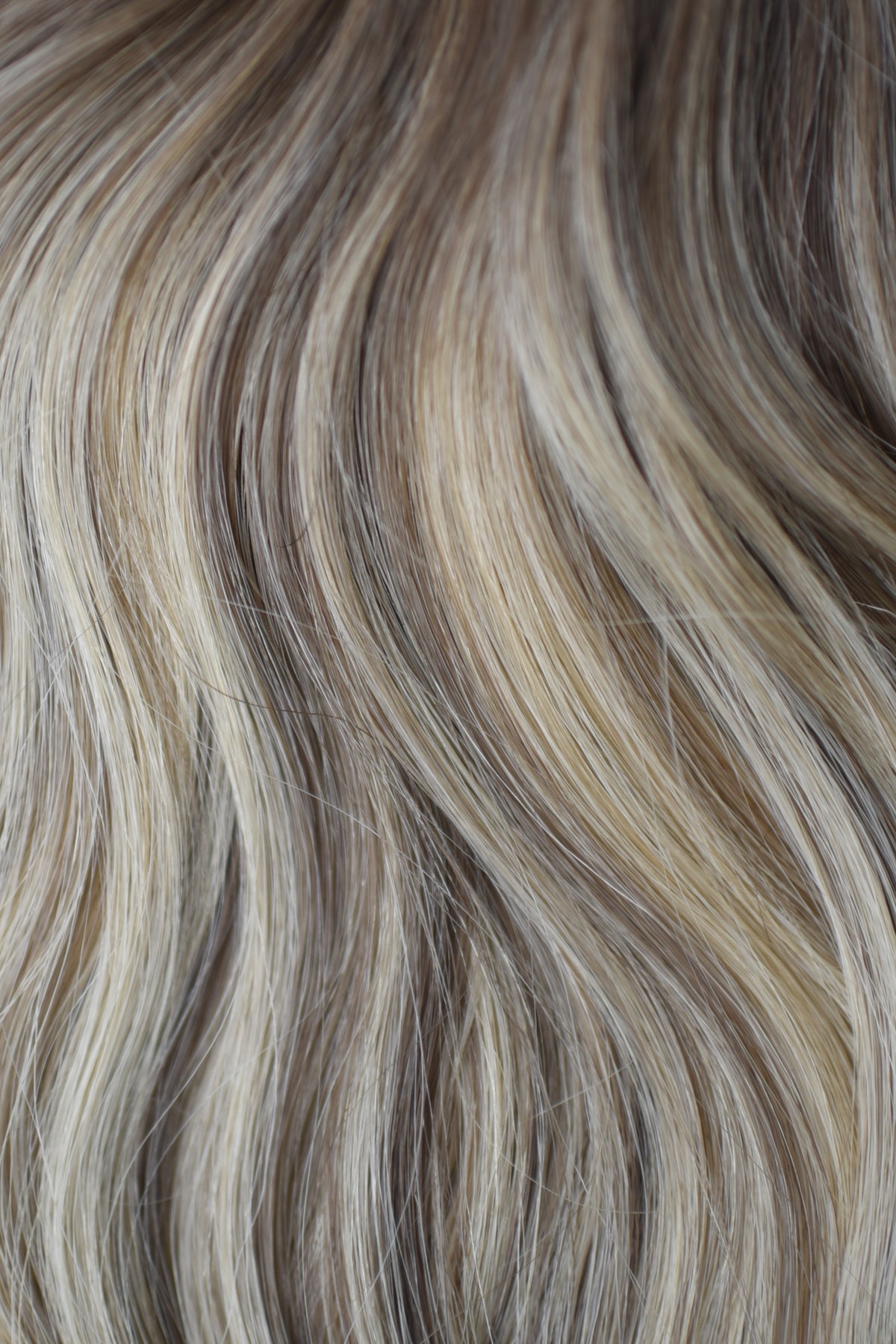 Blonde Collection