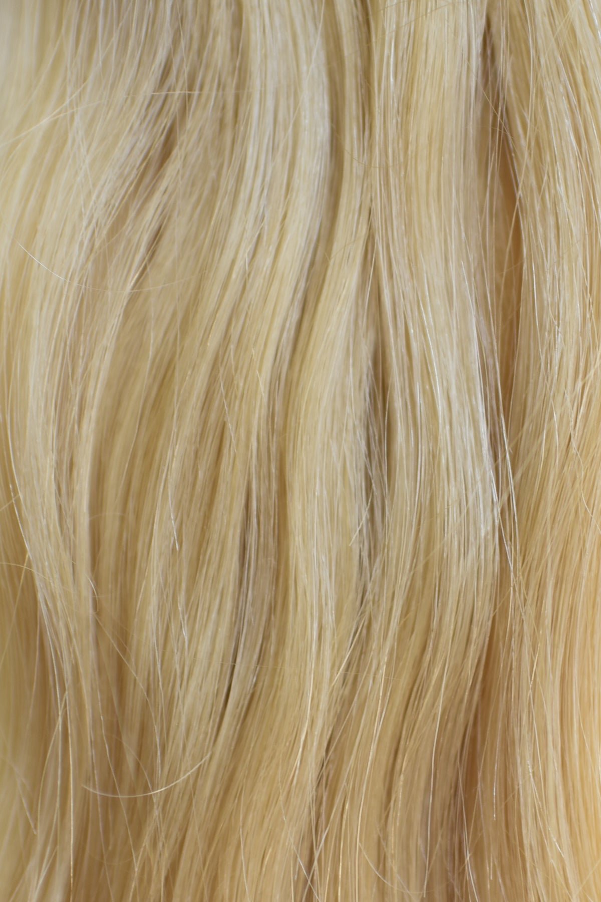 Blonde Collection